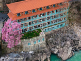 Hotel Magnolia