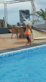 Lurji Beach Club